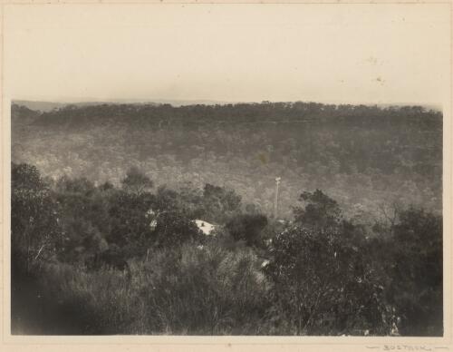 [View of  Castlecrag site, Sydney], [1] [picture]