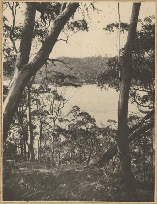 [View across water to the Castlecrag site, Sydney], [2] [picture]