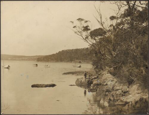 [View of  Castlecrag bushland from harbour foreshore, Sydney] [picture]