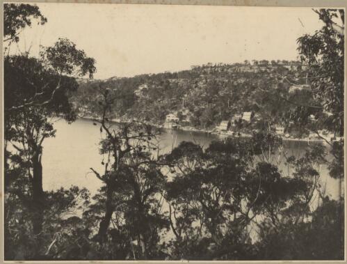 View of Castlecrag, Sydney [picture]