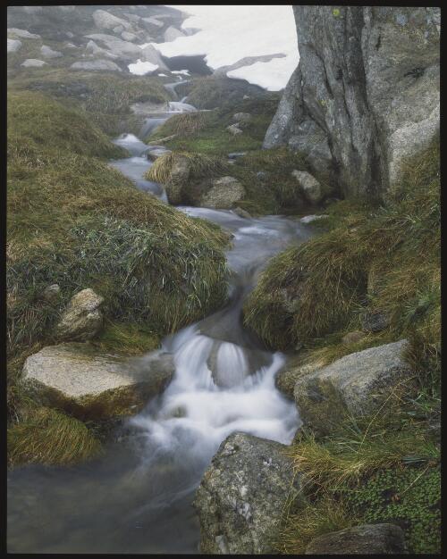 Alpine stream, Kosciuszko National Park, New South Wales, 1986, 13 [transparency] / Peter Dombrovskis
