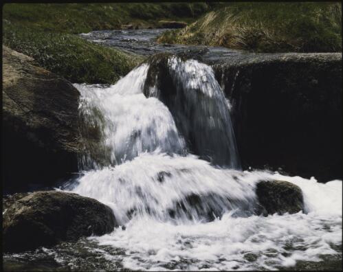 Alpine stream, Kosciuszko National Park, New South Wales, 1986, 15 [transparency] / Peter Dombrovskis