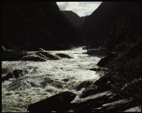 Franklin River, southwest Tasmania, 1979, 1 [transparency] / Peter Dombrovskis