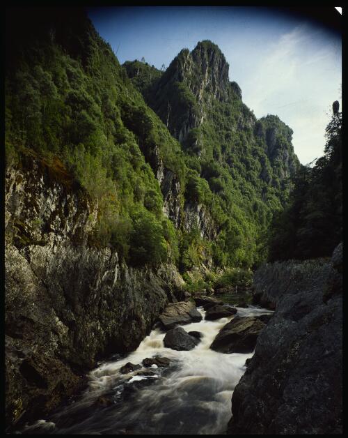Below the Cauldron, Great Ravine, Franklin River, southwest Tasmania, 1979, 2 [transparency] / Peter Dombrovskis