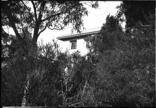 Building in bushland, possibly Castlecrag, Sydney, New South Wales [transparency]