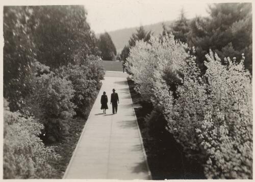 A picturesque pathway near Parliament House, Canberra, [1930s] [picture]