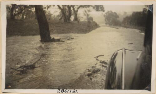 Heavy rain at  Barney's Range, 3-2-48 [picture] / Department of Main Roads