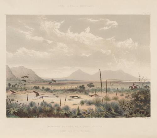 Kangaroo hunting near Port Lincoln, Albert Peak in the distance, South Australia, 1847 / George French Angas; J.W. Giles