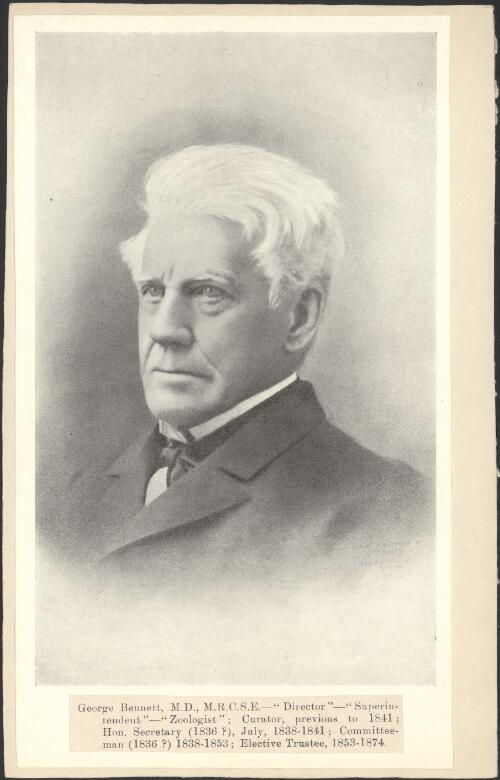 Portrait of George Bennett [picture]