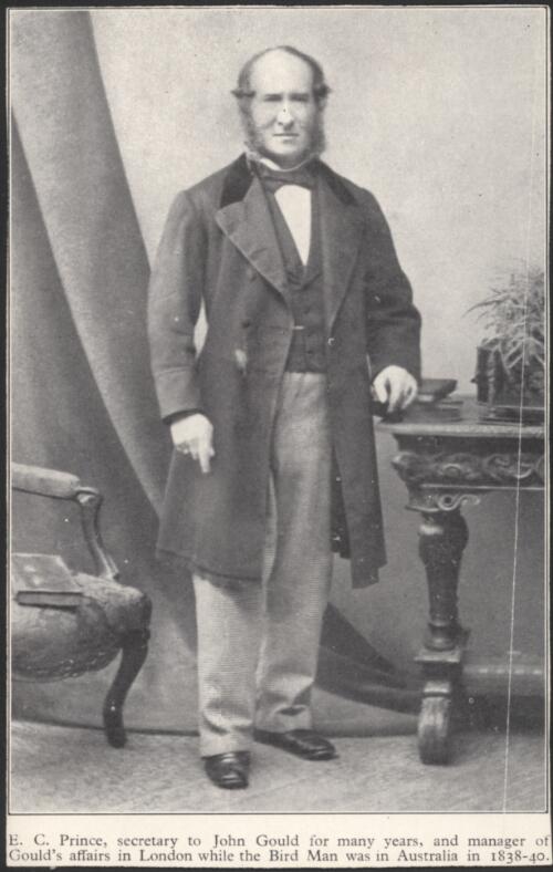 Portrait of E.C. Prince, secretary to John Gould. [picture]