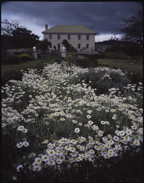Oakwood Sculpture Garden and Studio, Mangalore, Tasmania, 1993?, 2 [transparency] / Peter Dombrovskis