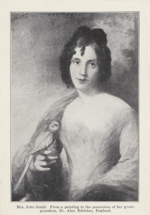 Portrait of Mrs Elizabeth Gould [picture]