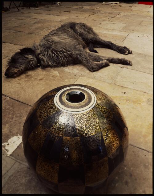 Derek Smith's ceramics, Oakwood Sculpture Garden and Studio, Mangalore, Tasmania, 1993?, 1 [transparency] / Peter Dombrovskis