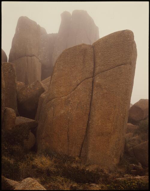 Dolerite, Mount Wellington, Tasmania, 1990?, 3 [transparency] / Peter Dombrovskis