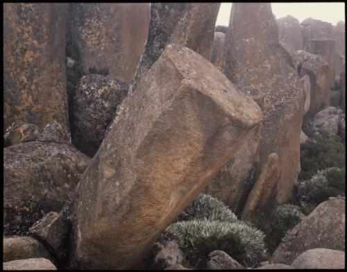 Dolerite, Mount Wellington, Tasmania, 1990?, 6 [transparency] / Peter Dombrovskis