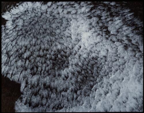 Rime ice detail, summit Mount Wellington, Tasmania, 1991, 3 [transparency] / Peter Dombrovskis