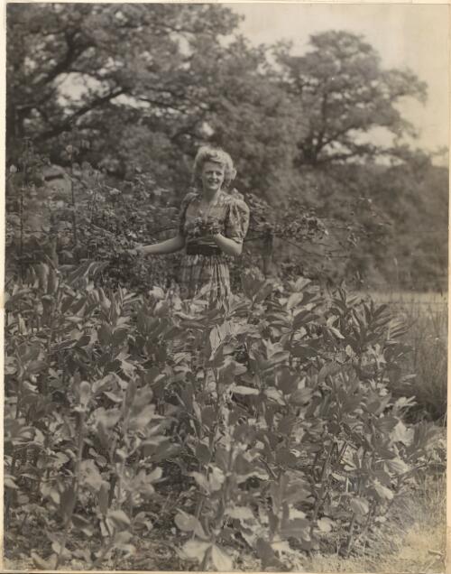 [Madge Elliott amidst the plants in the garden at Appletrees] [picture]