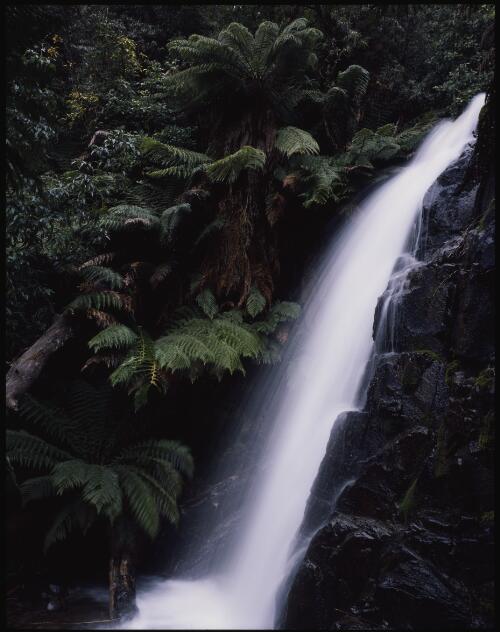 O'Grady's Falls, Mount Wellington, Tasmania, 1992?, 1 [transparency] / Peter Dombrovskis