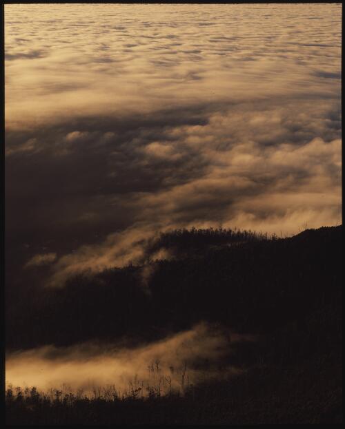 Hobart in fog from Mount Wellington, Tasmania, 1991 [transparency] / Peter Dombrovskis