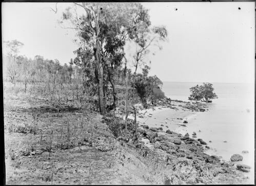 Coastline, Palmerston [i.e. Darwin], ca. 1890 [picture] / Florenz Bleeser