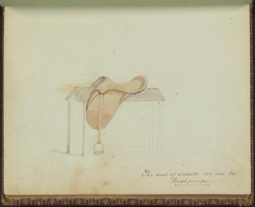 The sort of saddle used for buckjumpers [picture] / Richard W. Stuart