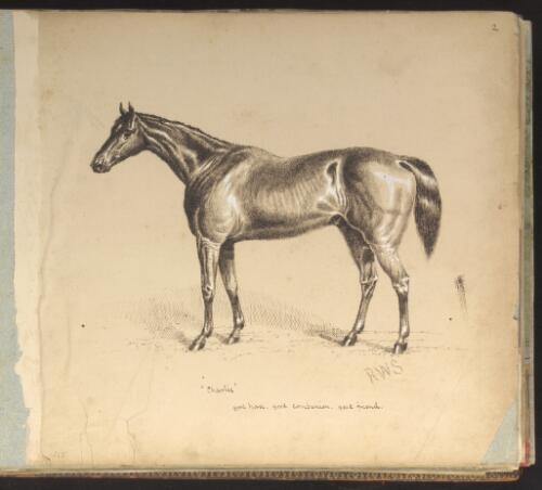 Sketches of facts & fancy, drawings of horses and scenes of travel [picture] / R. W. Stuart