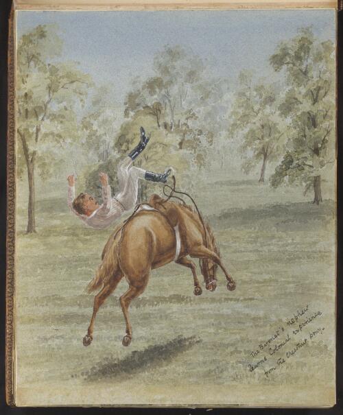 The Baronet's nephew learns colonial experience from the chestnut pony [picture] / R. W. Stuart