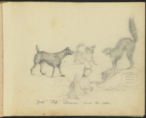 'Grip', 'Yip', 'Yowser' and the cat [picture] / R. W. Stuart
