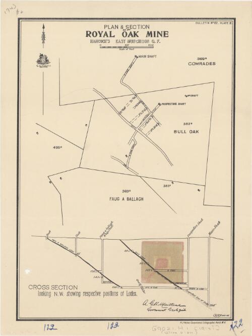 Plan & section Royal Oak Mine, Hancock's East Murchison G.F. [cartographic material]