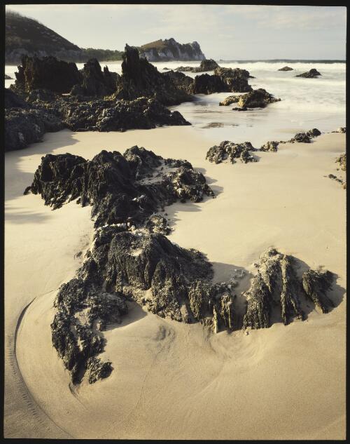 Ketchem Bay, south coast, Tasmania, 1995?, 2 [transparency] / Peter Dombrovskis