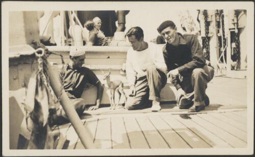 Borislav Runanine, Boris Belsky, Serge Ismailoff and 'Aden' the gazelle on board the Maloja, September, 1938 [picture] / Patricia Mary Cape
