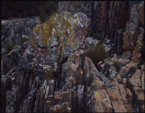 Quartz rocks and lichen, Spain Bay, southwest Tasmania, 1995 [transparency] / Peter Dombrovskis