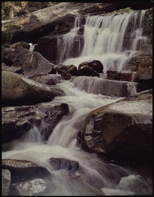 Above Silver Falls, Mount Wellington, Tasmania, 1992?, 4 [transparency] / Peter Dombrovskis