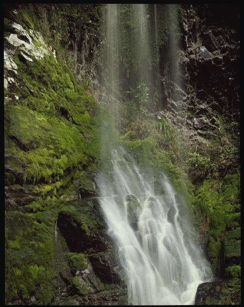 Waterfall, Franklin River, Tasmania, 1979 [transparency] / Peter Dombrovskis