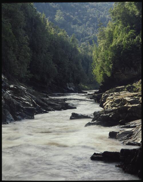 Franklin River, southwest Tasmania, 1979, 4 [transparency] / Peter Dombrovskis