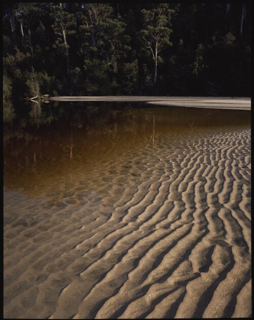 South Cape Rivulet, south coast, Tasmania, 1988 [transparency] / Peter Dombrovskis