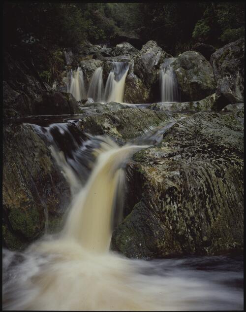 A tributary to the Franklin River, southwest Tasmania, 1979 [transparency] / Peter Dombrovskis