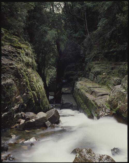 Mountain stream, Mount Wellington, Tasmania, 1984? [transparency] / Peter Dombrovskis