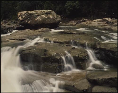 Douglas River, Douglas-Apsley National Park, Tasmania, 1989, 3 [transparency] / Peter Dombrovskis