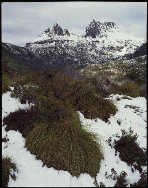 Winter, Cradle Mountain, Cradle Mountain-Lake St Clair National Park, Tasmania, 1984? [transparency] / Peter Dombrovskis