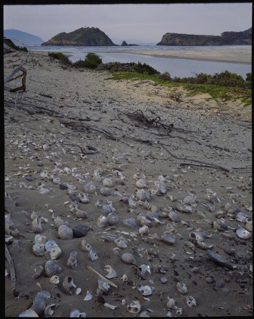 Louisa Bay, south coast, Tasmania, 1993? [transparency] / Peter Dombrovskis