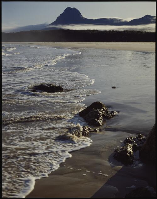 Precipitous Bluff, south coast, Tasmania, 1987, 3 [transparency] / Peter Dombrovskis