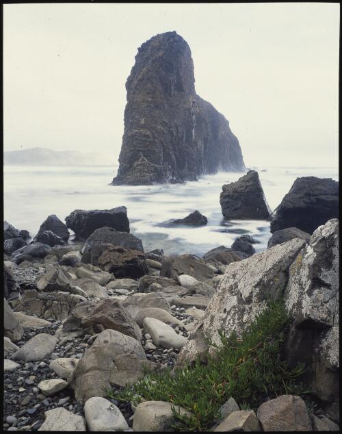 Lion rock, south coast, Tasmania, 1990 [transparency] / Peter Dombrovskis