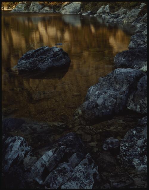 Evening reflections, Cradle Mountain-Lake St Clair National Park, Tasmania, 1981? [transparency] / Peter Dombrovskis