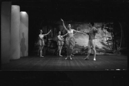 Wendy Tabke, Harold Collins and dancers of the Lisner Ballet in The Seasons by Charles Lisner, Lisner Ballet, Academy Theatre, Brisbane, 1960 (1) [picture] / Grahame Garner