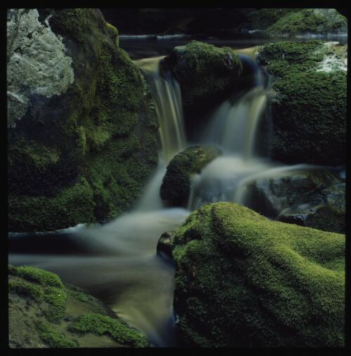 Tributary stream, Glen Calder, Franklin River, southwest Tasmania, 1979 [transparency] / Peter Dombrovskis