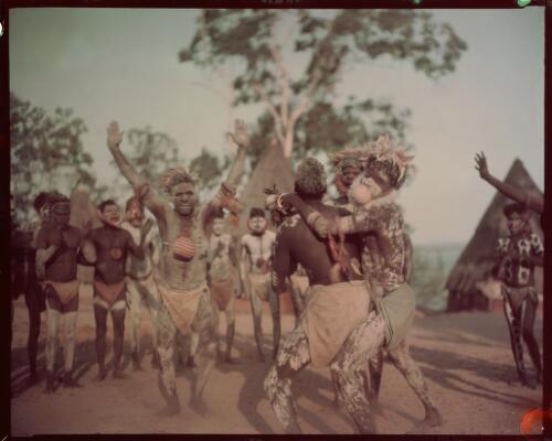 Pukumani dancers in ceremony, Melville Island, Tiwi Islands, Northern Territory, October 1948, 1 [picture] / Axel Poignant