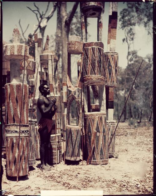 Pukumani memorial poles, Melville Island, Tiwi Islands, Northern Territory, October 1948, 1 [picture] / Axel Poignant