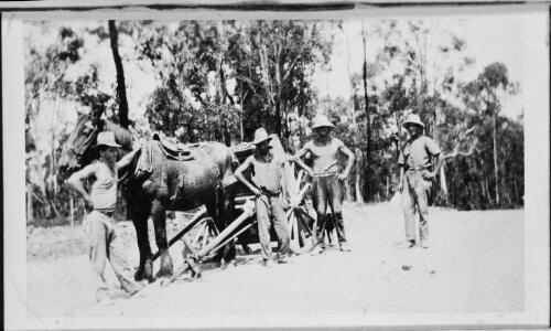 Four unidentified men in the Gold Coast hinterland during contruction of the road to Beech Mountain, Queensland, ca. 1920s [picture]