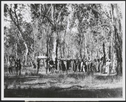 Aboriginal funeral rite, Gulf of Carpentaria, Australia, 1911 [picture] / Frank Hurley